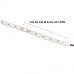 12V Cold White 5050 SMD LED Strip Flexible 5M/Roll Non-Waterproof (5 Meter)