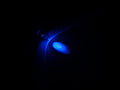 5MM Blue Led  1000pcs BAG