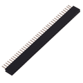 40x1 Female Berg Strip