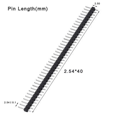 1×40 Berg Strip Male Connector