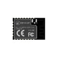 Ai-Thinker ESP32-C3-12F Wi-Fi + BLE Module