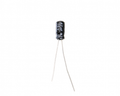 47 uF 16V Through Hole Electrolytic Capacitor (Pack of 40)
