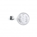 100 uF 25V Surface Mount Electrolytic Capacitor (Pack of 20)