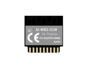 Ai-Thinker Ai-WB2-01M Module