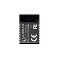 Ai-Thinker Ai-WB2-12S Module