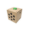 Google AIY Voice Kit