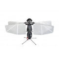 Flapper Nimble+ Starter Kit