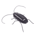 Solar powered Black Cockroach Bug Toy