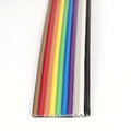 Ribbon Cable-10 Wire 1 Meter - The Tech Depot