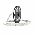 Cold White 5050 SMD LED Strip 24V, 1M