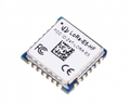 LoRa-E5 STM32WLE5JC Module Embedded SX126X And MCU