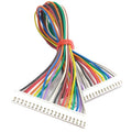 20 Pin JST Extension  Cable 200mm Female to Female - The Tech Depot