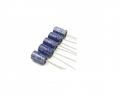 100uF 25V Electrolytic Capacitor – -(pack of 10) - The Tech Depot
